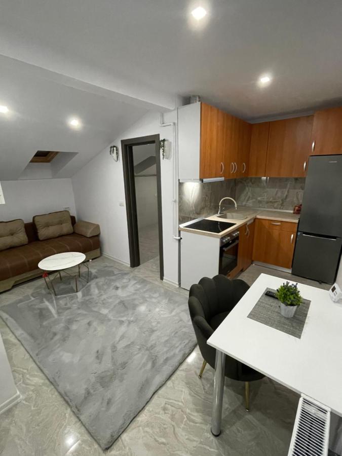 Cozy Apartament With 2Rooms Timişoara Extérieur photo