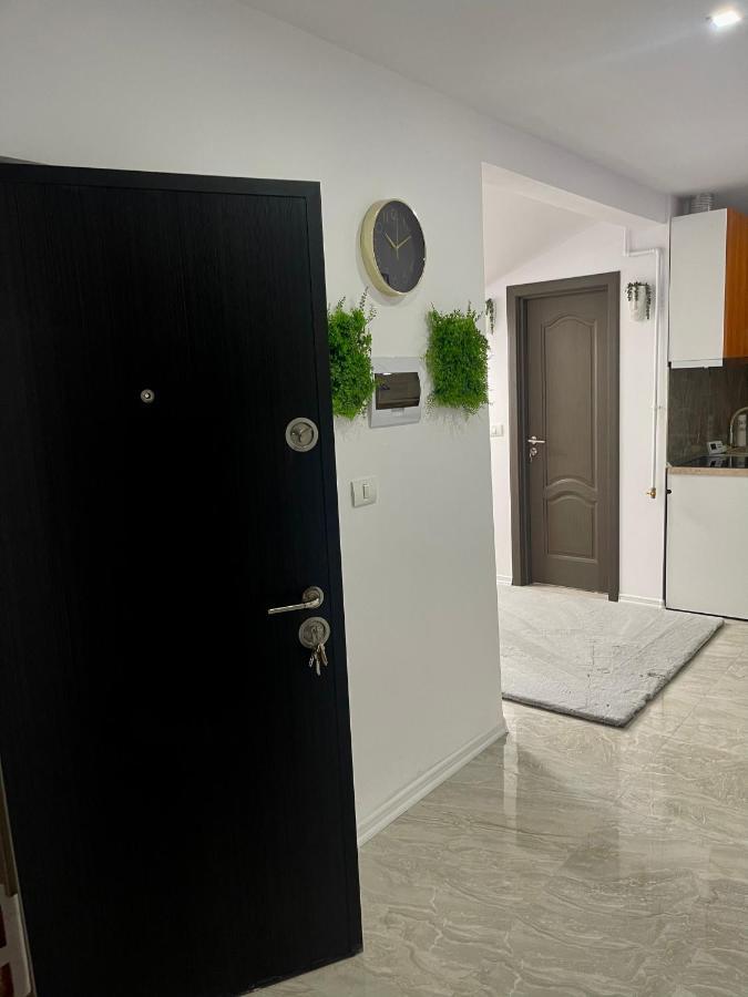 Cozy Apartament With 2Rooms Timişoara Extérieur photo