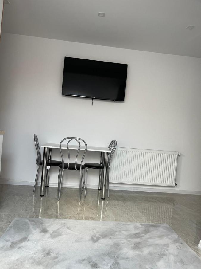 Cozy Apartament With 2Rooms Timişoara Extérieur photo